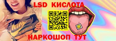 сатива Моздок