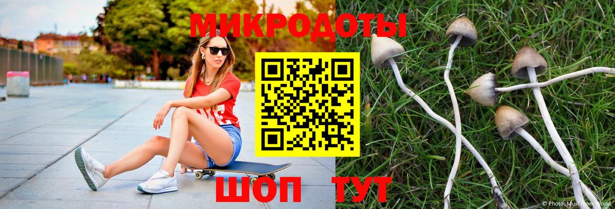 Галлюциногенные грибы MAGIC MUSHROOMS  Вход с VPN  Донской  Галлюциногенные грибы Psilocybine cubensis 